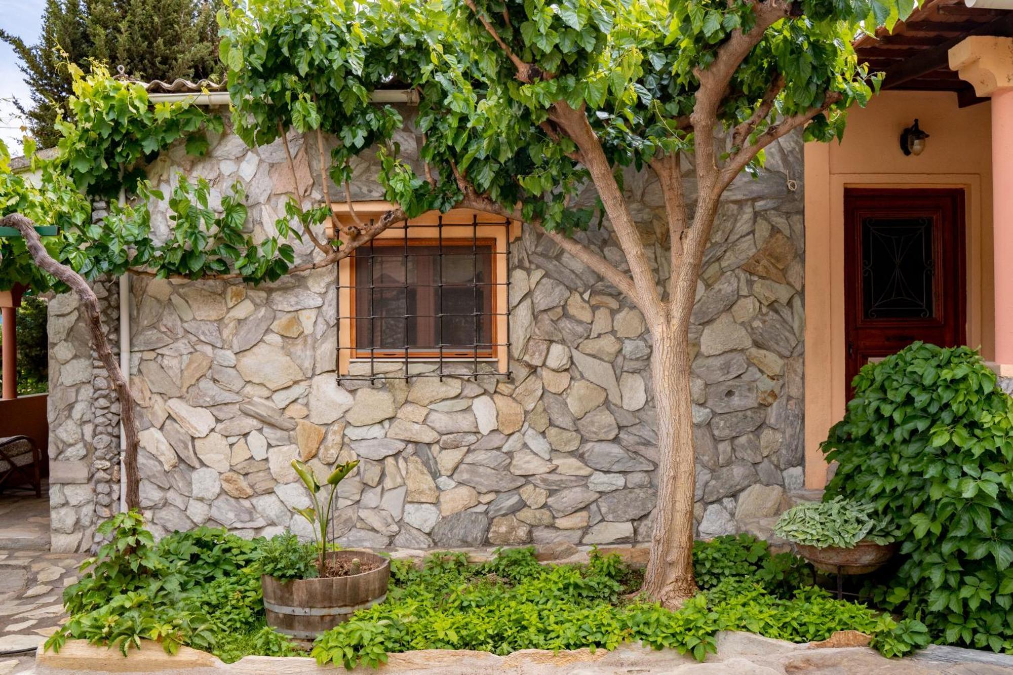 Dm Elegant And Charming Villa Foinikiá Exterior photo